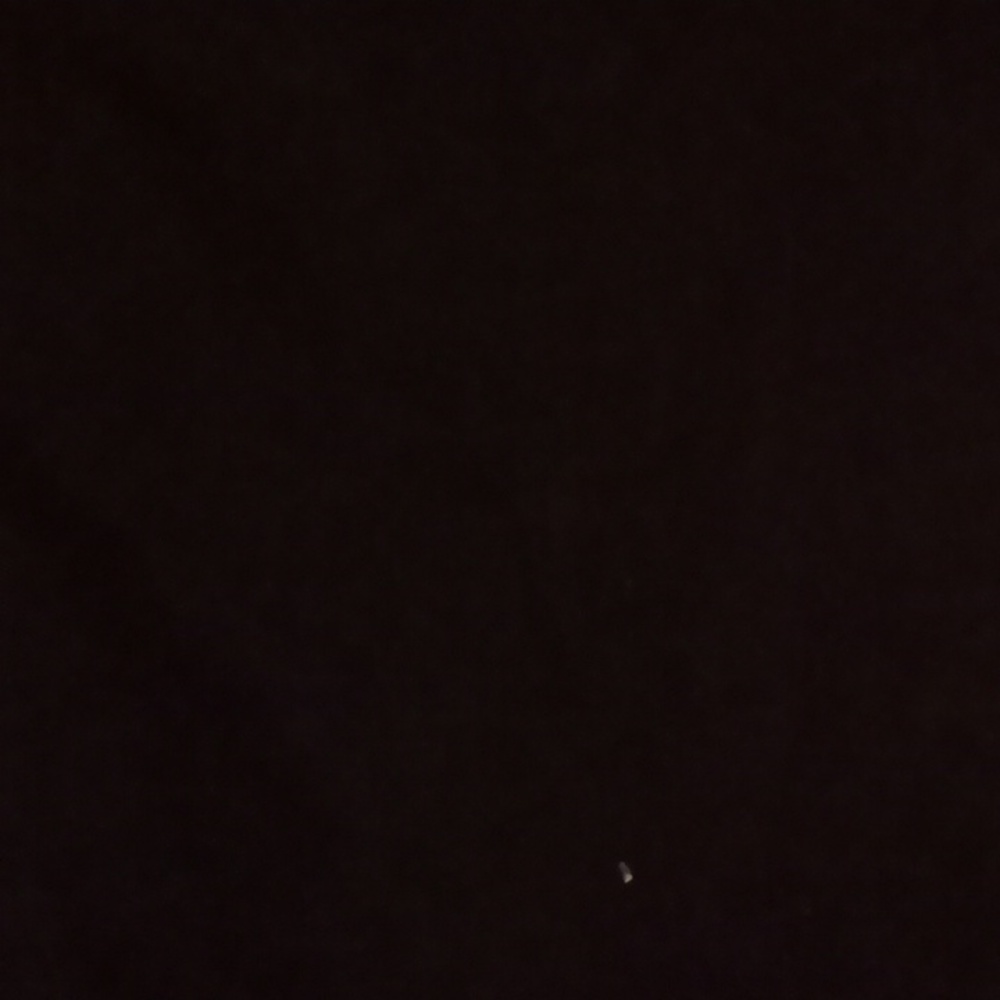 Black long skirt charter club size 10